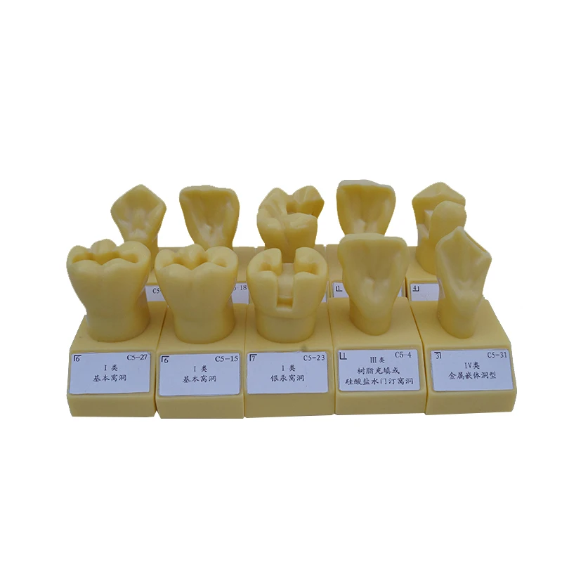 

Dental Lab 4 Times Single color Cavity Preparation Dental Oral Tooth Models