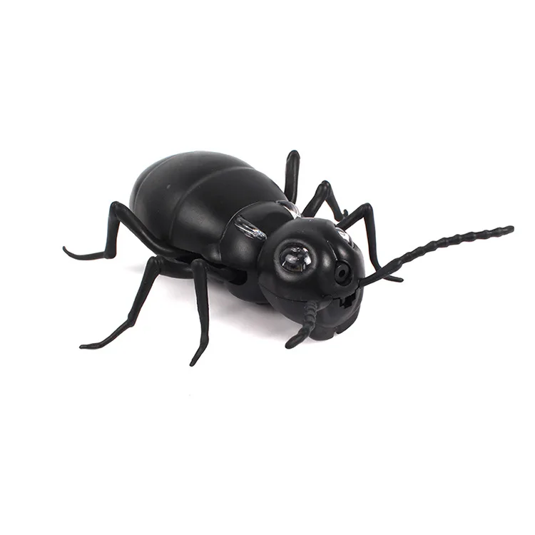 Hot-Toy-RC-Animals-Novelty-Gags-Remote-Control-Ants-Cockroaches-Spiders-Crawling-Insect-Halloween-Horror-Practical (5)