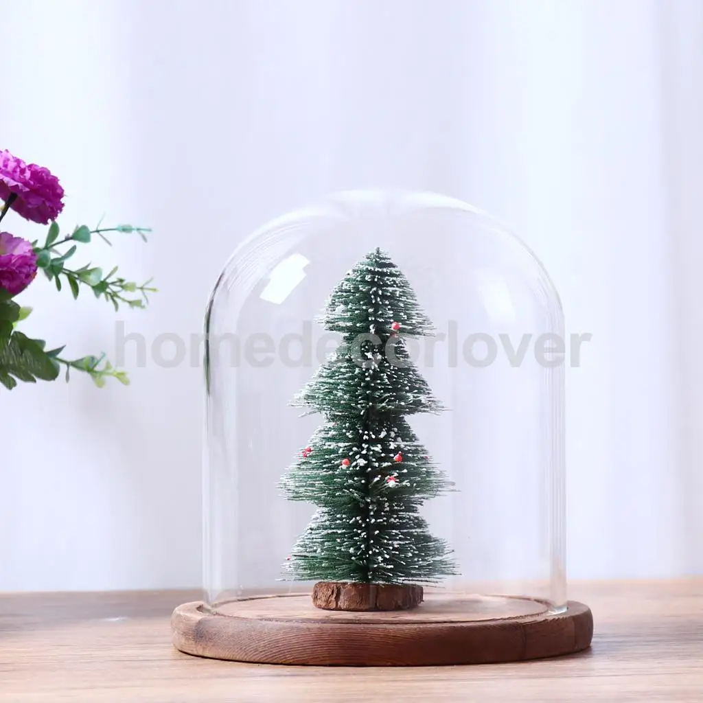 

Clear Ball Shaped Glass Flower Vase Pot Terrarium Decorative Bottle 10Pcs