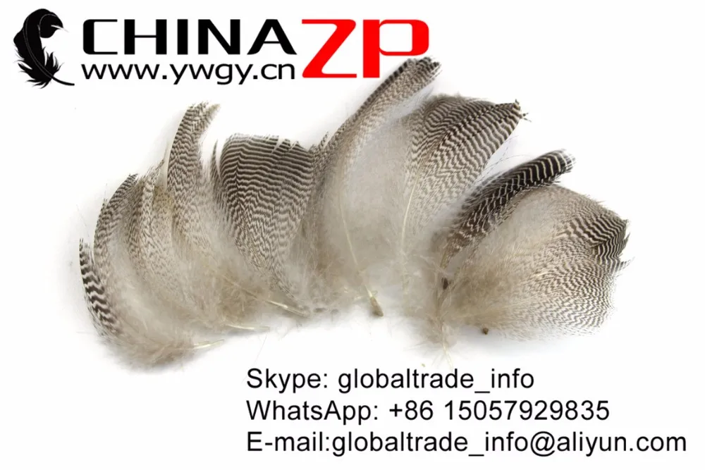Natural Mallard Duck Feathers (4)