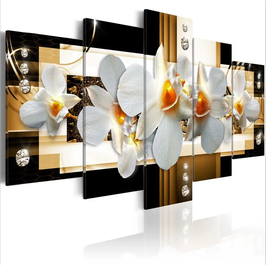 Sun orchids brown