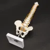 45CM Human Spine with Pelvic Model Human Anatomical Anatomy Spine Medical Model spinal column model+Stand Fexible ► Photo 2/6