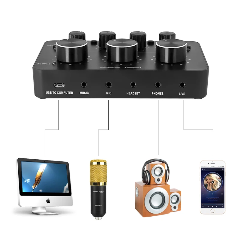 Professional BM800 microphone webcast recording