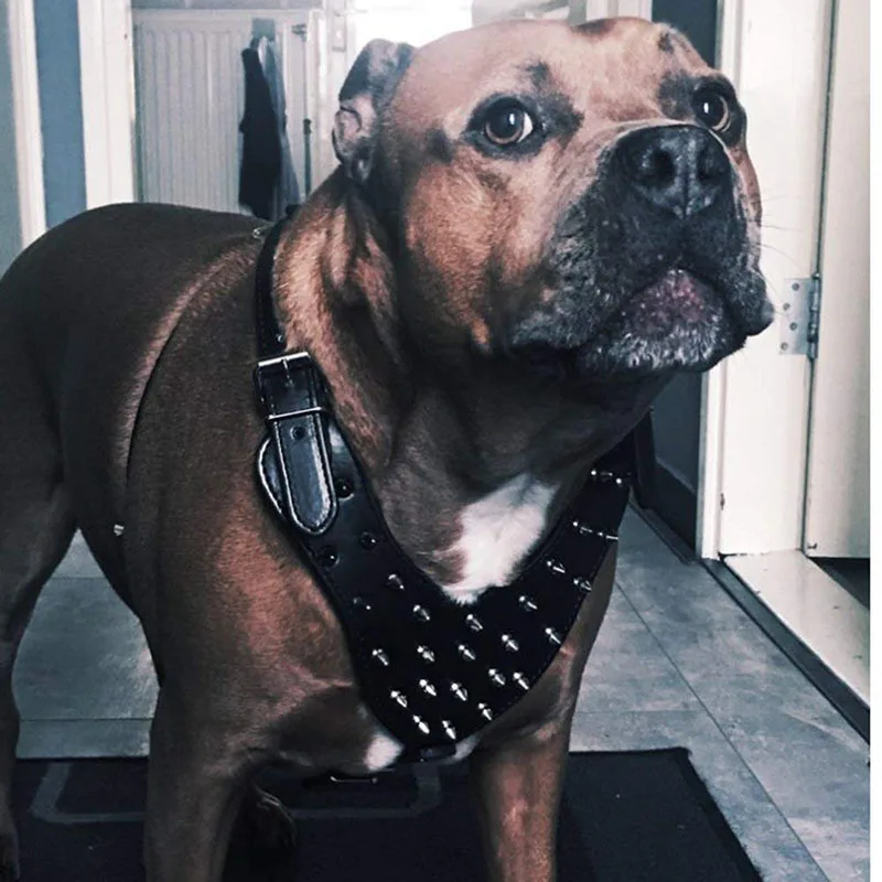 

Large Dog Harness Studded Spiked PU Leather Dog Harness for Large Breeds Dogs Fit Pit Bulldog Mastiff Boxer Chest 65-85cm Black