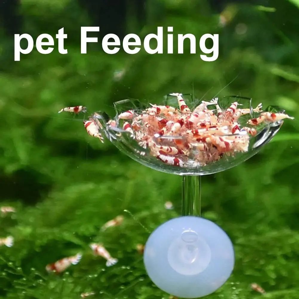 New Aquarium Fish Shrimp Feeder Acrylic Fish Tank Floating Bowl Flower Shape Food Feeder With Suction Cup Aquarium Supplies