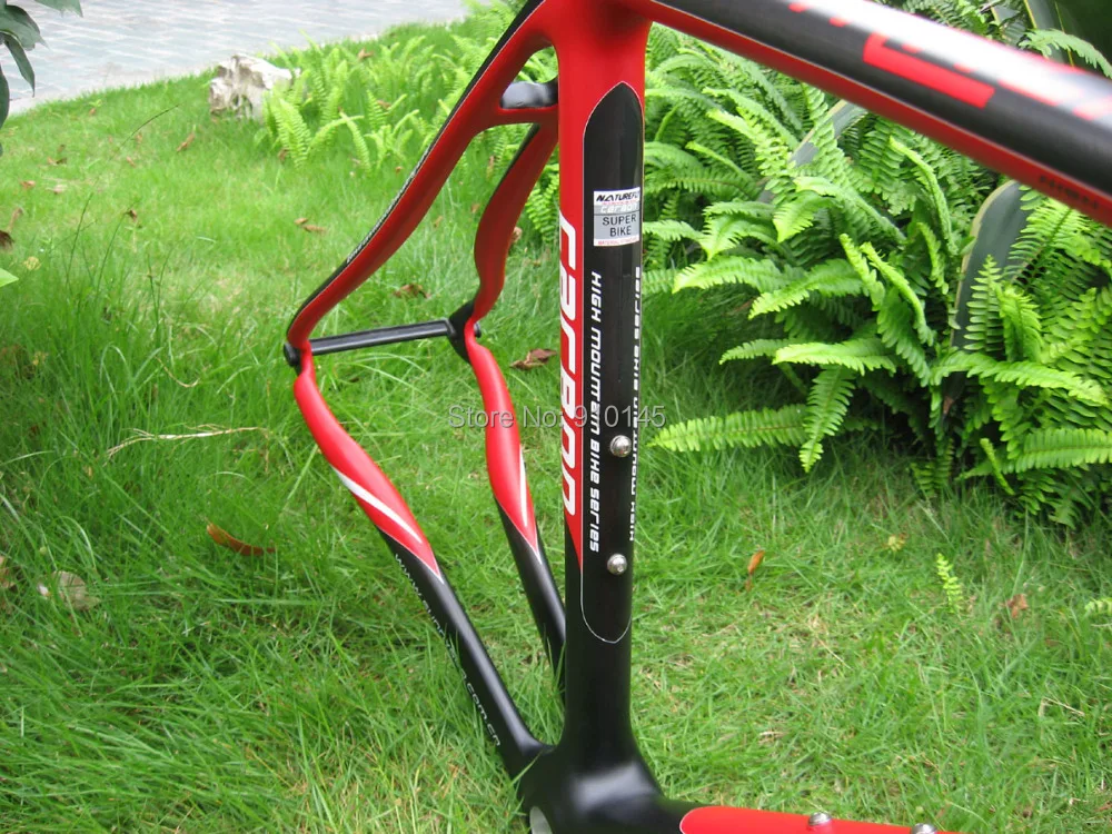 Flash Deal Specials ! Free shipping ! 2019 Naturefly Carbon Bike Frame Fixed Gear/Single Speed Red/Black/White 5