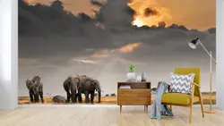 [Самоклеющиеся] 3D слон пастбища темные облака небо 77 настенная бумага настенной печати настенные наклейки