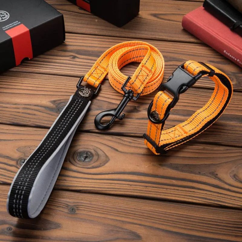 

Pet Dog Collar Lead Leash Set For Lighted Up Solid LED Dog Collar Advanced Glow Necklace dropshipping