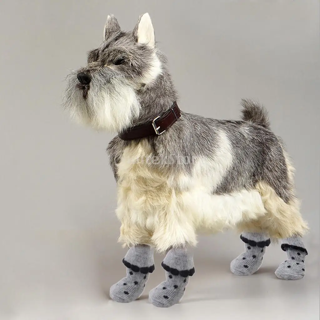 Black Dog Zapatos Puppy Pet Dots Cat I2HD9WE