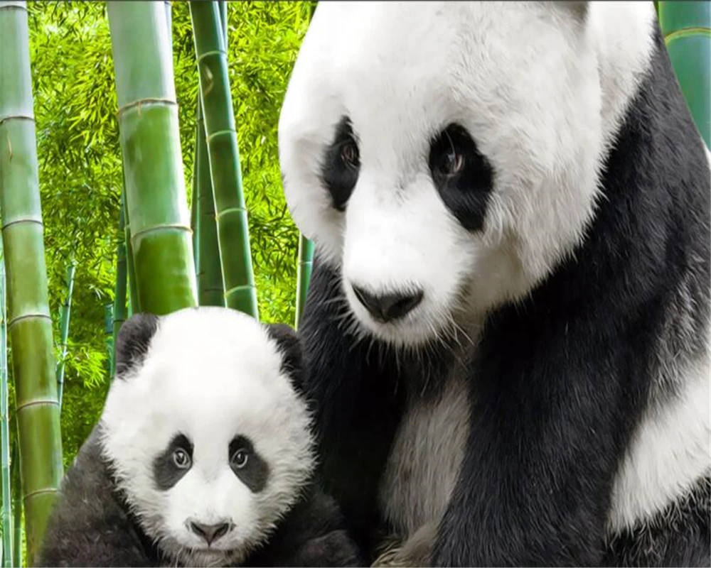 Beibehang Lucu Panda Hitam Dan Putih Foto Landscape Landscape