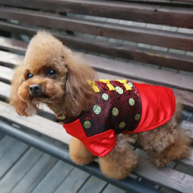 New font b Pet b font Costume Dress Dog Tang Suit Dog Cotton font b Clothes