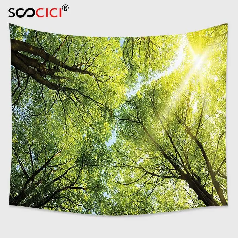 

Cutom Tapestry Wall Hanging,Farm House Decor Collection The Warm Spring Sun Shining Through the Canopy of Tall Beech Trees