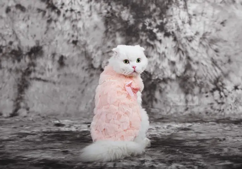 Благородный жилет для кошек из искусственного меха, пальто с жемчугом и бантом, нарядная зимняя одежда для девочек с собачкой Китти, милая розовая одежда
