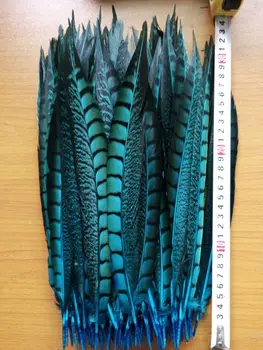 

New! Wholesale light blue 50 pc quality natural Lady Amherst Pheasant feathers, 12-14inches / 30-35cm, DIY jewelry decoration