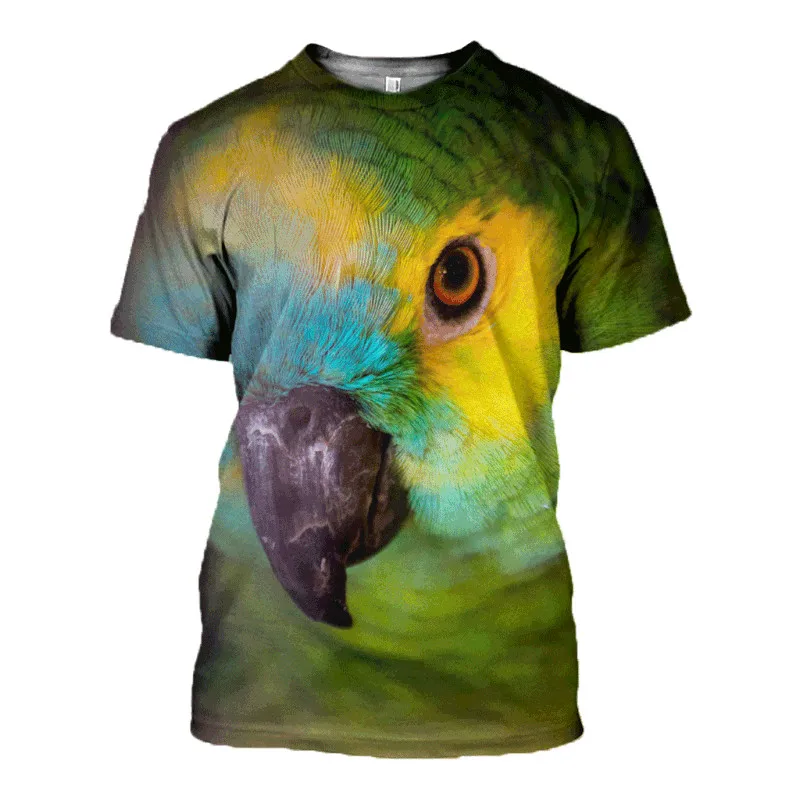D_c_Parrot_3D_DT121002_TS_800x