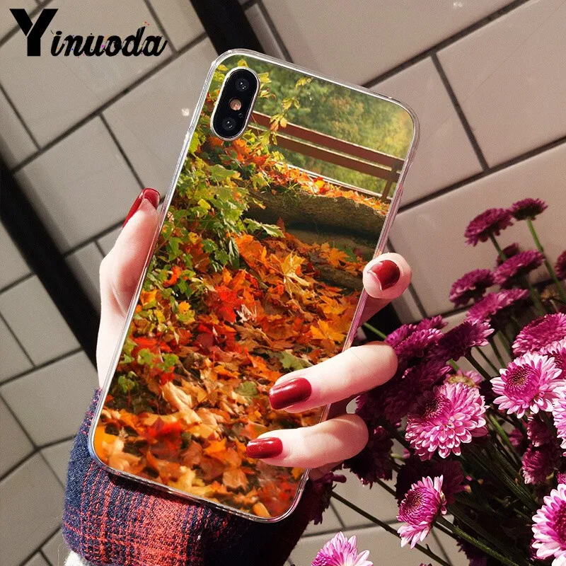 Autumn falling leaves