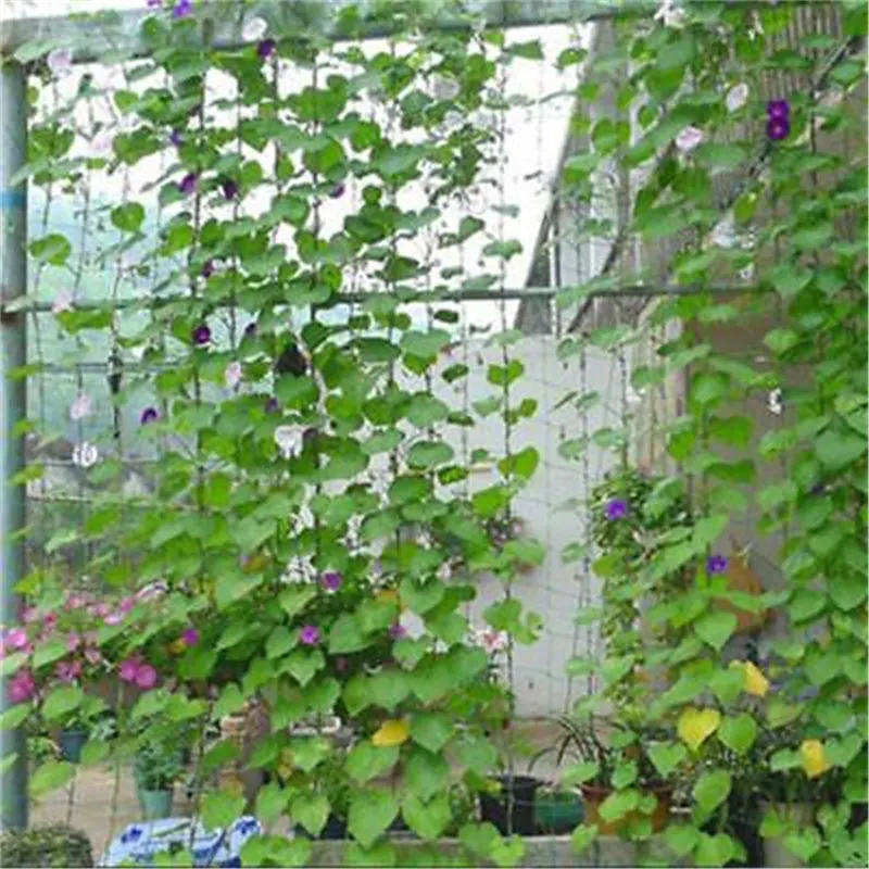 М 1,8x1,8 м восхождение Bean завод сетки для автомобиля расти забор сад зеленый нейлон решетчатая сетка поддержка