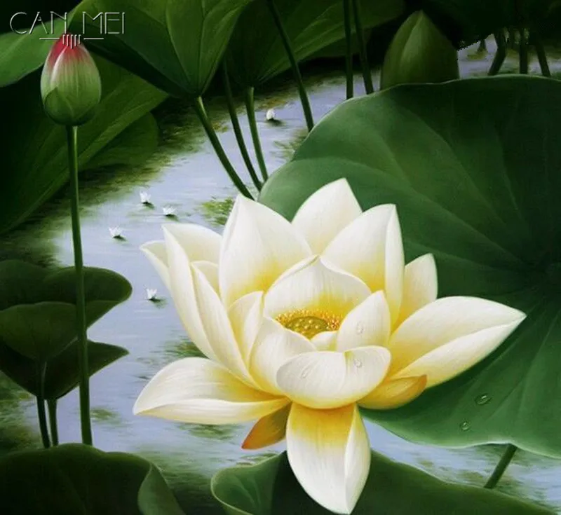 5D Алмаз вышивка алмаз artpicture стразами фотографии алмазы крестом наборы Цветок |