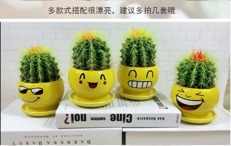 Online kopen wholesale keramische cactus uit china keramische ... Decoratie action woonkamer