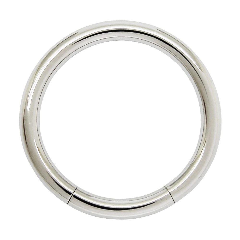 3mm/4mm X 25mm Thick Stainless Steel Body Piercing Jewelry Segment Ring