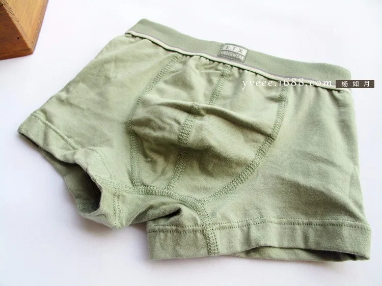 Boys Underwear Children Panties Boys Cotton Boxer Shorts Children's Panties Kids Underwear For 2-16 years 5 pcs
