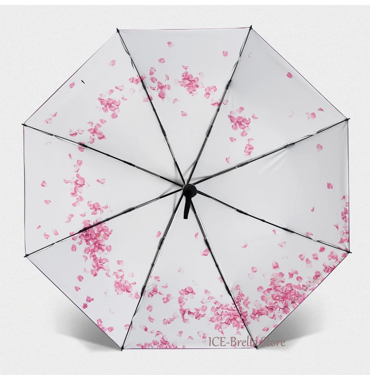 2 (19)