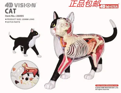 

black and white cat dissected the static model toy Children's wisdom and early education 290mm long 28pcs parts free shipping