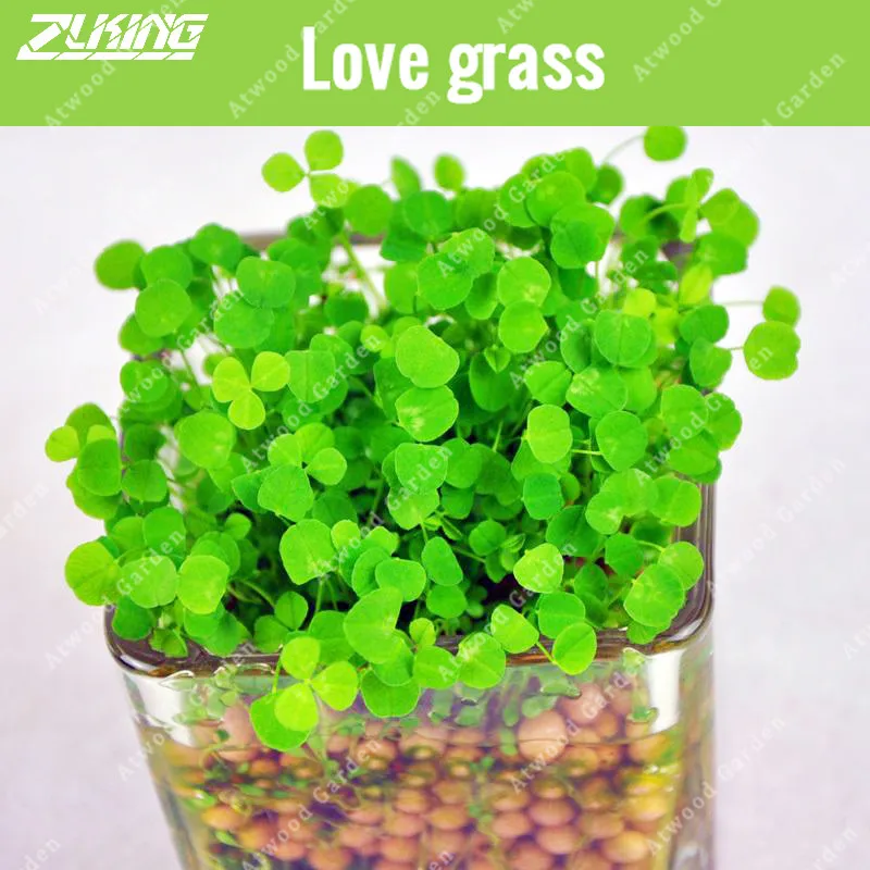 

ZLKING 200pcs Aquarium Grass Mini Aquarium Accessories Decoration Fish Tank Plant Background Landscape Aquatic Plants