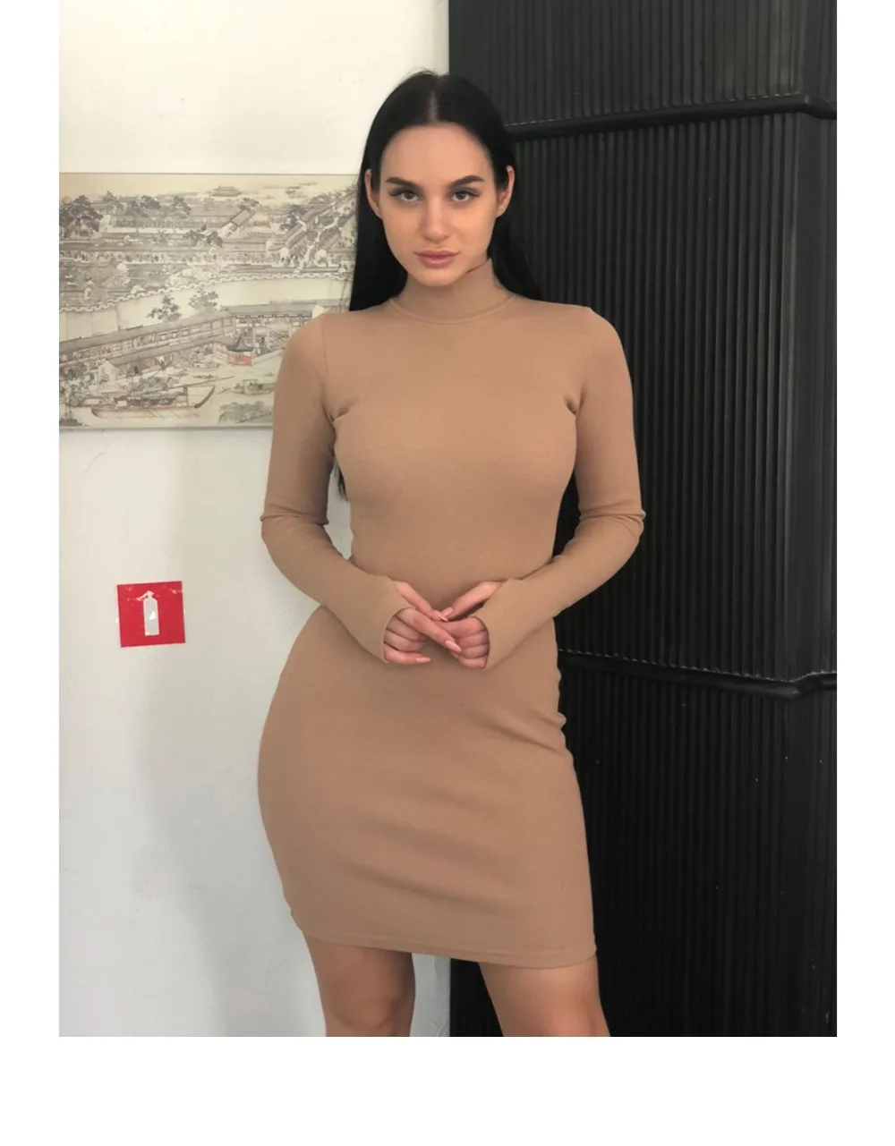 WIXRA Basic Turtleneck Dress Casual 