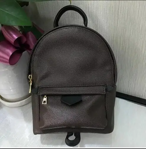 

2019 fashion brown flower backpack Genuine leather Bag plam springs MINI backpack 3size speedy Bag free shipping