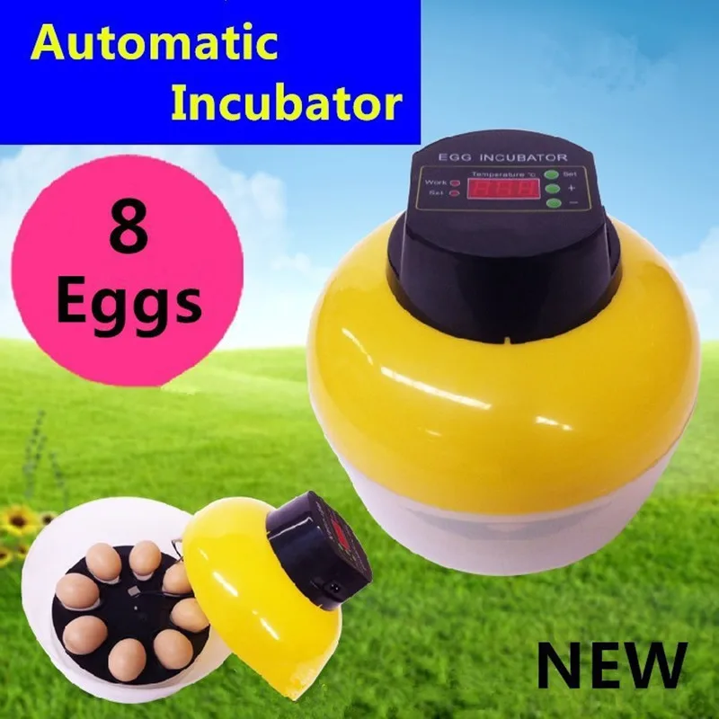 

8 eggs Mini Incubator Automatically turn eggs For Chicken Duck Goose Quail Birds Experimental Teaching Automatic Incubator
