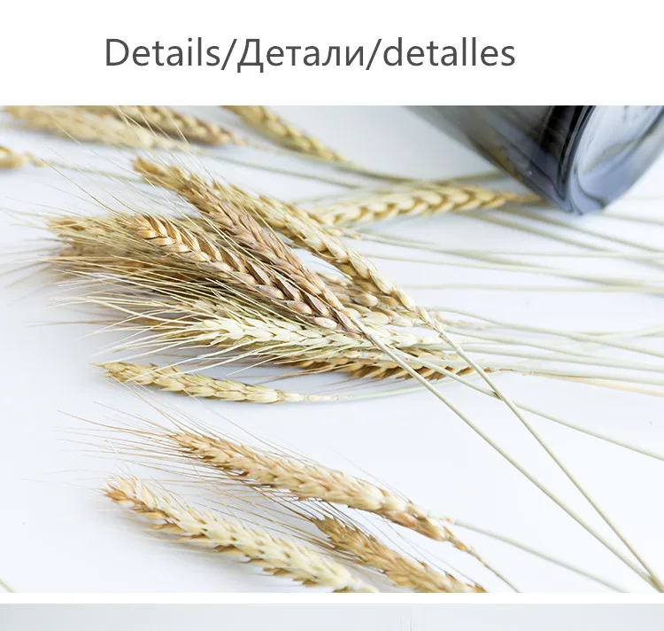 HTB1IQzlqFuWBuNjSspnq6x1NVXau