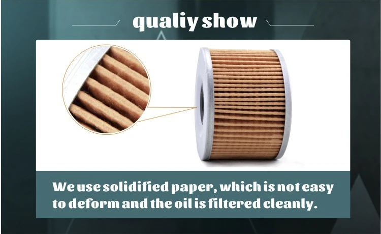 motorcycle oil filter (10)
