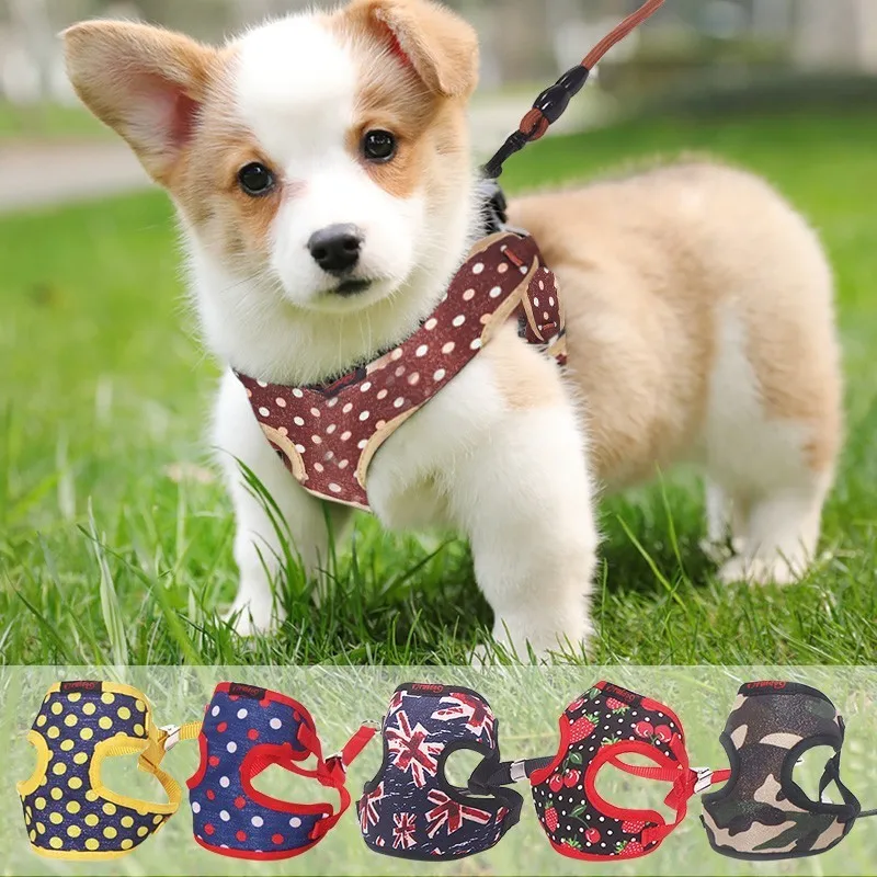 

Pet Leads Vest Harnesses Dog Collars Harness For Small Dog Leash Rope Pets Chain Chest Strap Breathable Mesh Puppy Cat Vest 30