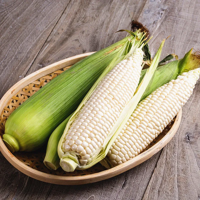 10 шт./пакет белый кукурузы бонсай сильный адаптивность Happy Farm зерна бонсай вкусной и здоровой натуральный сладкий кукурузы бонсай