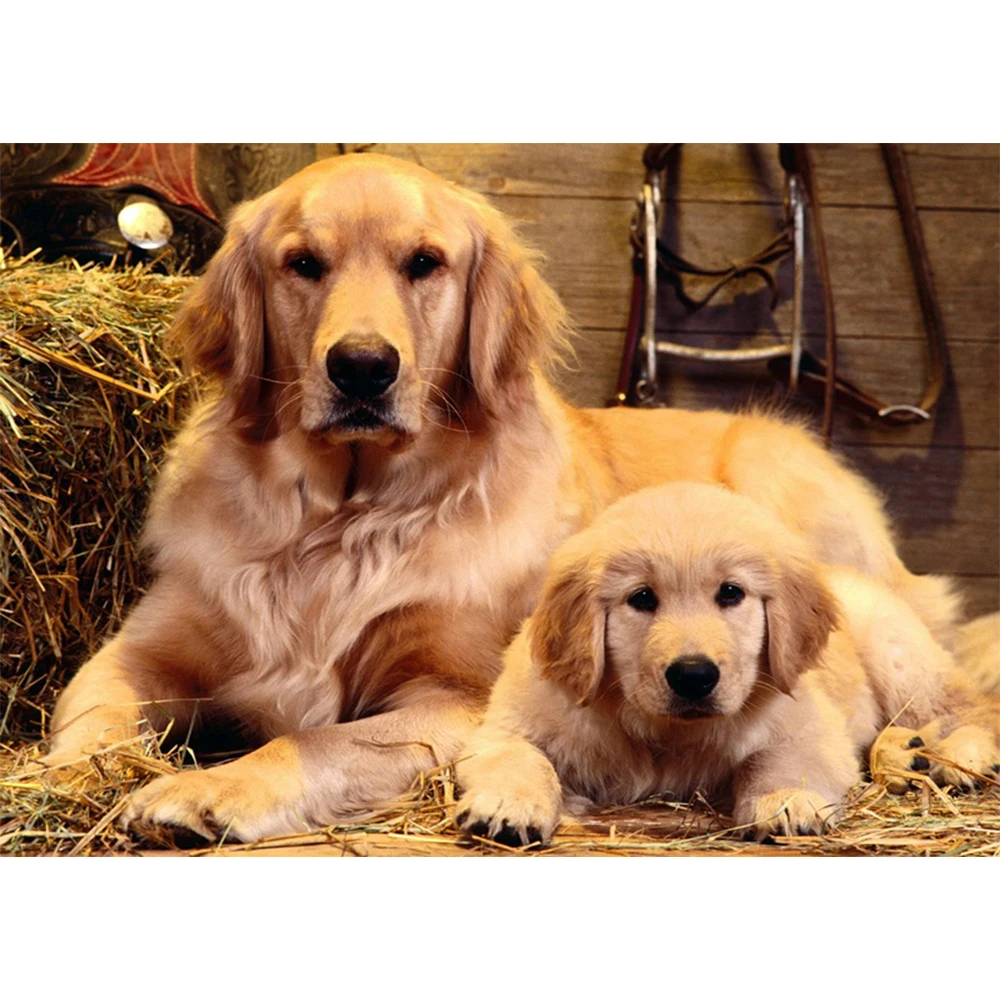 

LI LOYE Needlework 5D DIY Chinese Cross Stitch Two dogs Embroidery Kit Cross Stitch Patterns European Home Decorative arts RT525