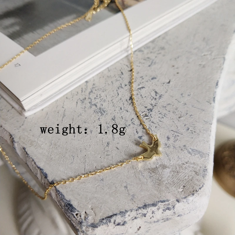 9215283636_2113301229