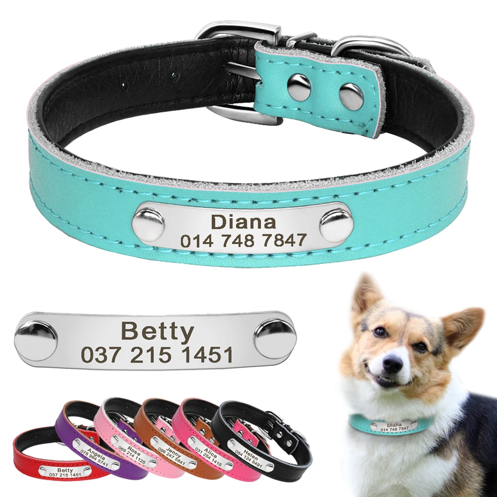 nameplate dog collars