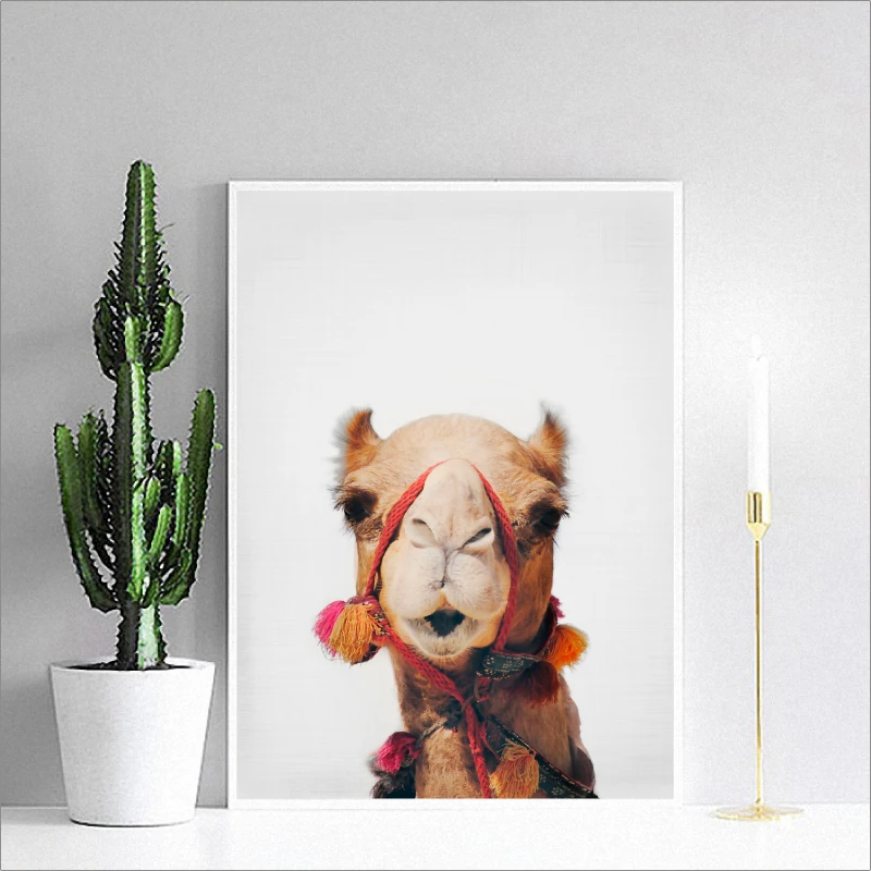 camel canvas print