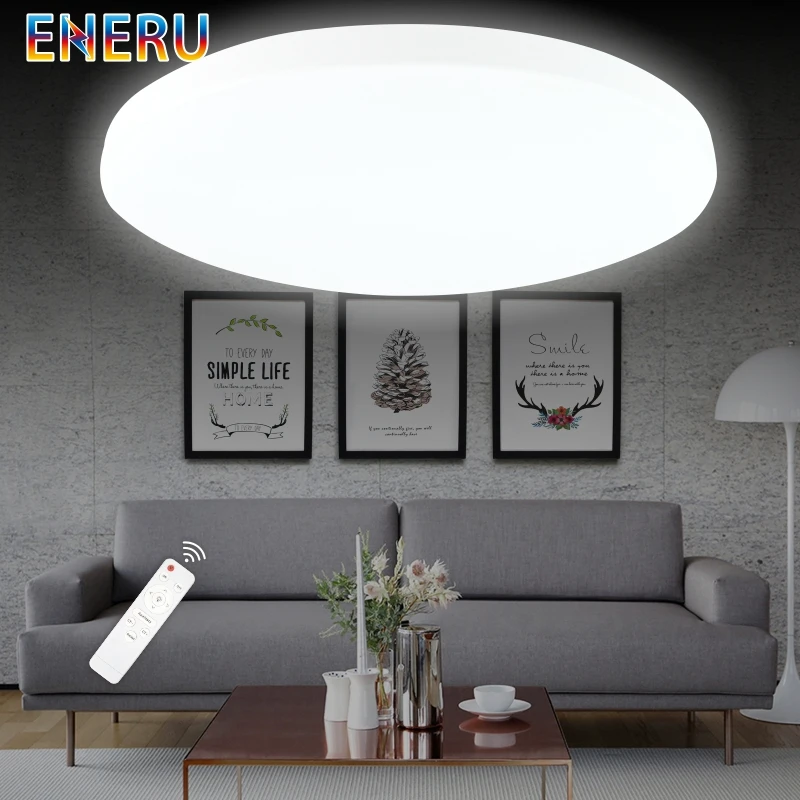 

LED Ceiling Lights Dimmable 12W 18W 24W 36W 48W Surface Mounted Modern LED Ceiling Lamp for Living Room Bedroom Remote Control