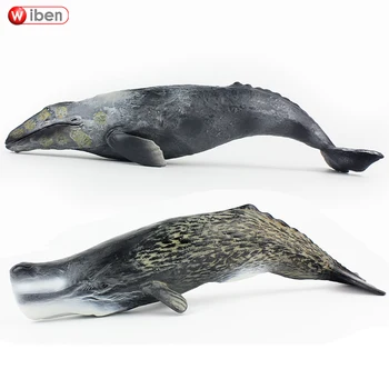 

Wiben Sea Life Sperm Whale Gray Whale Simulation Animal Model Action & Toy Figures Learning & Educational Gift for Kids