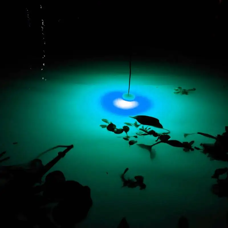 

High Quality 1pcs LED Underwater Deep Drop Eye Lure For Newest Fishing tool Fish Lure Flashing Lamp Light 1 Pcs