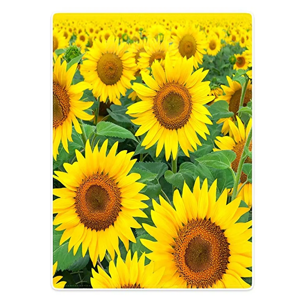 подсолнух 18. пейзаж с подсолнухами. подсолнух 18. фотографии в подсолнухах. подсолнухи ночью.