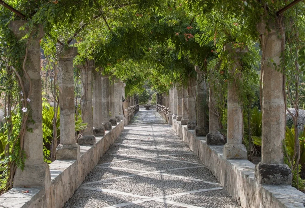 

Laeacco Spring Vine Archway Pillar Stone Way Corridor Scenic Photo Backgrounds Photographic Backdrops For Photo Studio