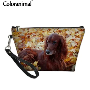 

Coloranimal Irish Setter Women Cosmetic Case Necessity Wash Kits Makeup Bag 3D Animal Dog Print Luxury Leather Organize Toiletry