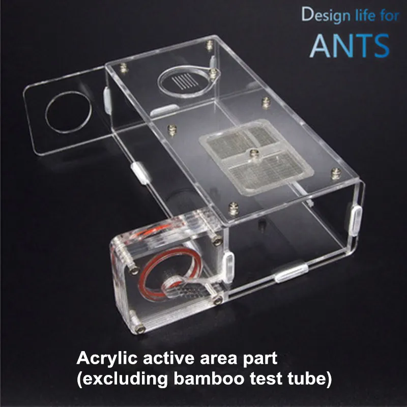 Домашнее животное муравьи профессиональное гнездо бамбуковое гнездо с активной областью Версия 30 мм муравьиная мастерская - Цвет: Acrylic part