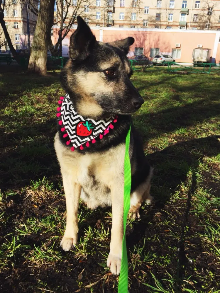 UT8bx7kXYhaXXagOFbXh