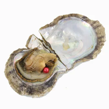 

Colored 7-8 mm Round Akoya Pearl Oysters Vacuum Packing AAAA+ Pearls Cultured in Fresh Pearl Mussel Farm Supply ZZ003