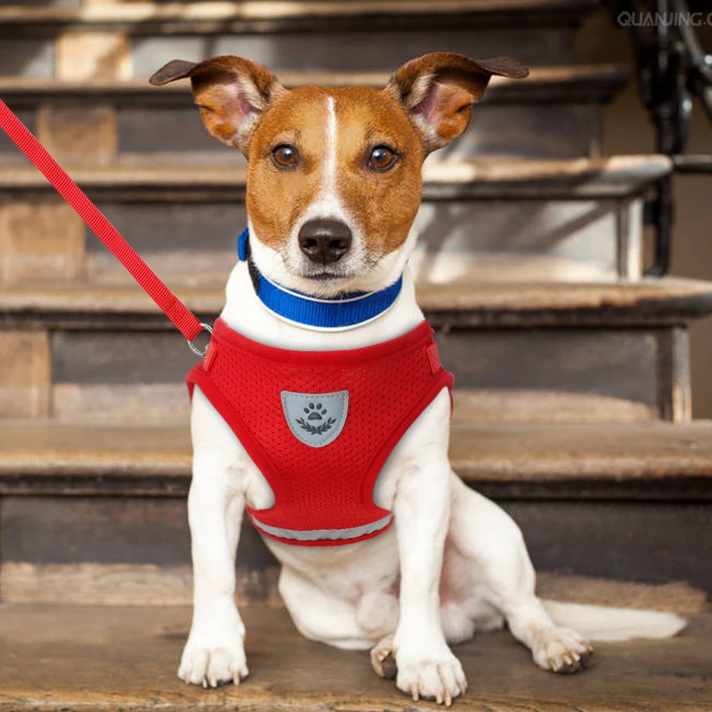 HTB1UnrZnY5YBuNjSspoq6zeNFXam