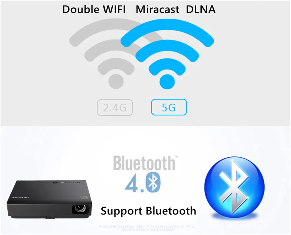DL-310_12